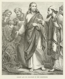 Christus und seine Jünger in den Kornfeldern