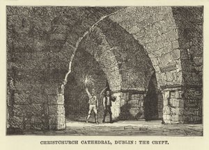 Christchurch-Kathedrale, Dublin, die Krypta