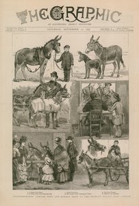 Costermongers Jubiläums-Pony- und Eselshow im Peoples Palace, East London von English School
