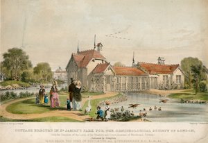 Hütte errichtet im St Jamess Park für die Ornithologische Gesellschaft von London