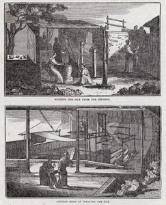 Seidenanbau (Gravur) von English School