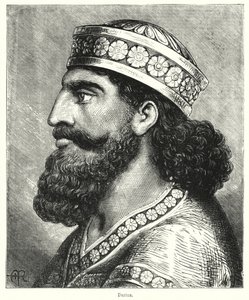 Darius