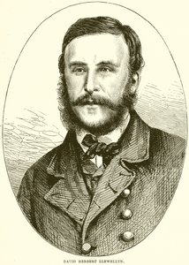 David Herbert Llewellyn von English School
