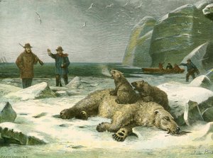 Toter Eisbär und Junge