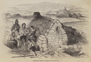 Not in Irland, Misserfolg der Kartoffelernte