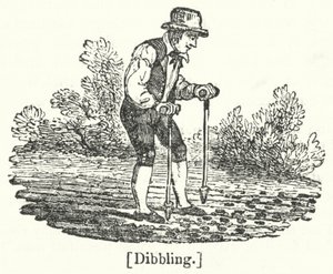 Dibbling von English School