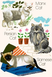 Hauskatzen