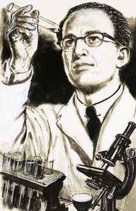 Dr. Jonas Salk, Erfinder des Polio-Impfstoffs, betrachtet ein Reagenzglas