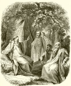 Druiden im heiligen Hain