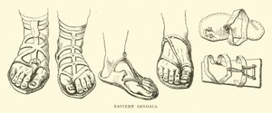Östliche Sandalen