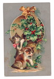 Edwardianische Postkarte von zwei Katzen, die mit Stechpalmen spielen, ca. 1910