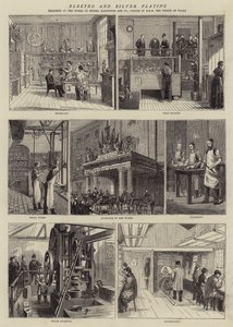Elektro- und Silberpflanzung von English School