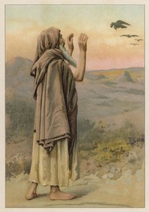 Elia und die Raben