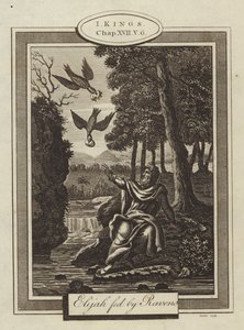 Elia von Raben gefüttert, 1. Könige, Kapitel XVII, Vers 6 von English School