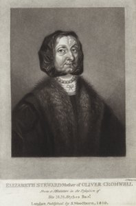 Elizabeth Steward von English School