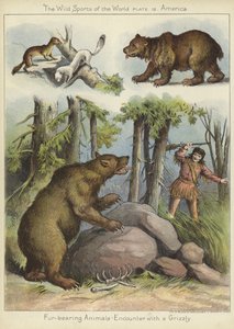 Begegnung mit einem Grizzly