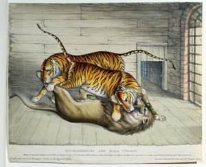 Außergewöhnlicher und tödlicher Kampf, 1830 von English School