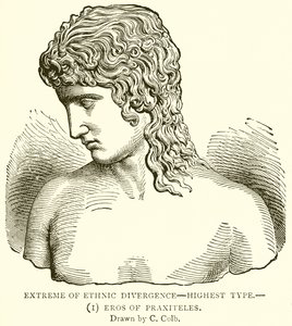 Extrem der ethnischen Divergenz—höchster Typus.—(1) Eros von Praxiteles