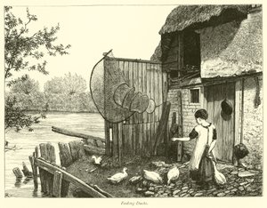 Enten Füttern von English School