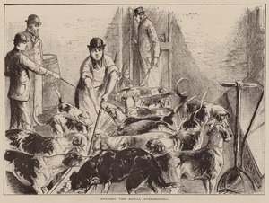 Fütterung der königlichen Jagdhunde (Gravur)