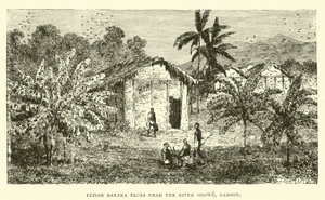 Fetisch-Bananenbäume nahe dem Fluss Ogowe, Gabun von English School