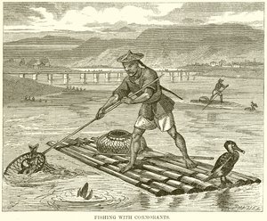 Fischen mit Kormoranen