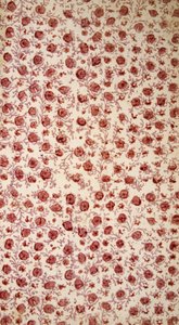 Florales Vorsatzpapier (handkolorierte Gravur)