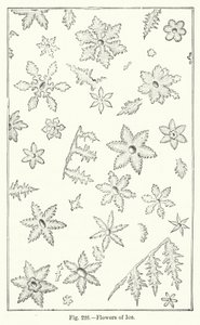 Eisblumen (Gravur)