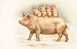 Vier Ferkel reiten auf dem Rücken ihrer Mutter