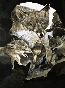 Fuchs bringt seinen Jungen Nahrung von English School