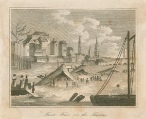 Frostmesse von 1814