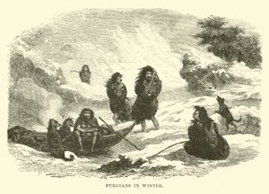 Feuerländer im Winter