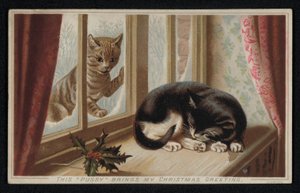 Roter Kater schaut durch ein Fenster auf einen schlafenden anderen Kater, Weihnachtsgrußkarte