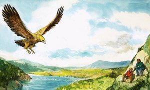 Steinadler von English School