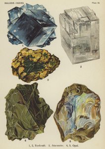 Halogenide, Oxide, Steinsalz, Atacamit, Opal