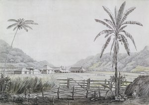 Halse Hall, Jamaika, um 1780
