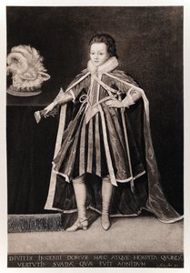 Heinrich, Prinz von Wales