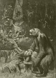 Heimat des Gorillas (Gravur)