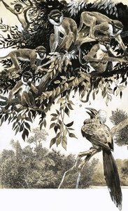 Hornvogel und Affen von English School