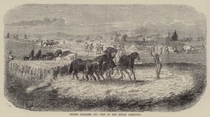 Pferde treten Korn in der römischen Campagna (Gravur)