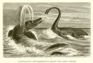 Ichthyosaurus und Plesiosaurus, Jura- und Lias-System