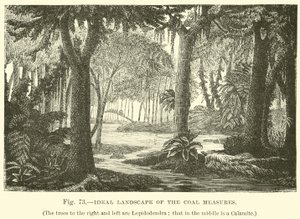 Ideale Landschaft der Kohleflöze von English School