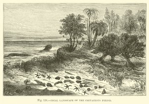 Ideale Landschaft der Kreidezeit