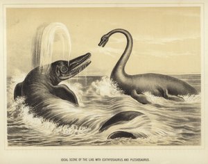 Ideale Szene des Lias mit Ichthyosaurus und Plesiosaurus