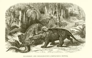 Iguanodon und Megalosaurus, Kreidezeit