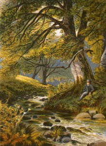 Illustration für Gray