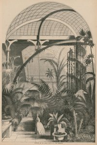 Innenansicht des Großen Palmarums, Kew Gardens, London
