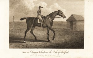 Jockey auf dem berühmten Vollblut-Rennpferd Mufti, im Besitz seiner Gnaden, des Herzogs von Bedford von English School