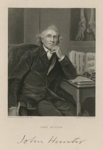 John Hunter von English School