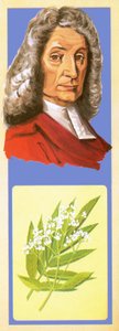 John Ray von English School